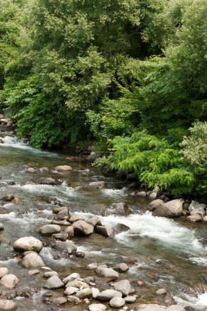 Téléchargez les photos : Belle cascade en forêt sur fond de nature - en image libre de droit