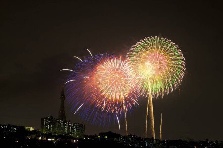 Photo for Beautiful colorful fireworks in the night sky - Royalty Free Image