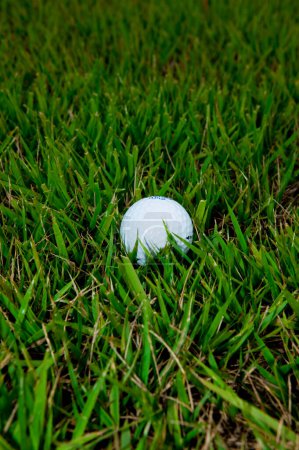 Téléchargez les photos : Balle de golf sur le fond de la nature - en image libre de droit