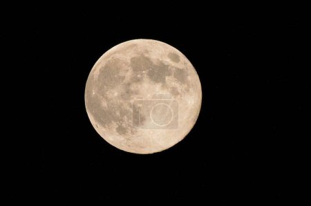Foto de Luna en el cielo nocturno sobre fondo natural - Imagen libre de derechos