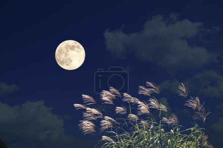 Foto de Luna y estrellas en la noche - Imagen libre de derechos