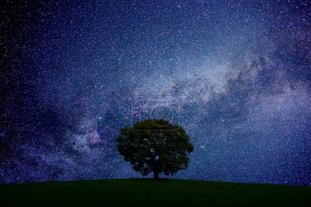 Photo for Beautiful night sky with stars - Royalty Free Image