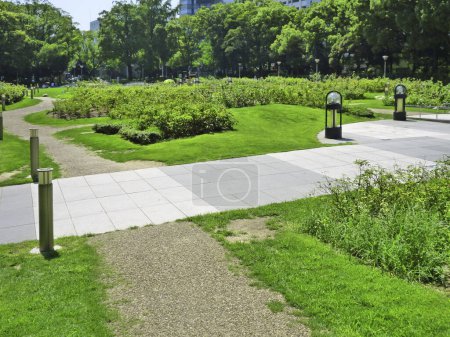 Téléchargez les photos : Parc vert dans le parc de la ville - en image libre de droit