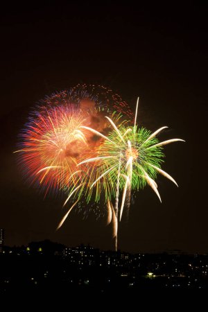 Foto de Hermosos fuegos artificiales de colores en el cielo nocturno - Imagen libre de derechos
