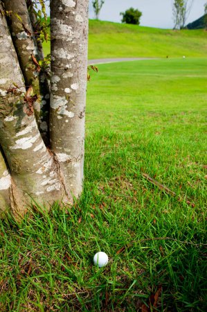 Photo for Golf ball on the grass - Royalty Free Image