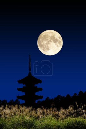 Foto de Escena nocturna de la luna y el templo - Imagen libre de derechos
