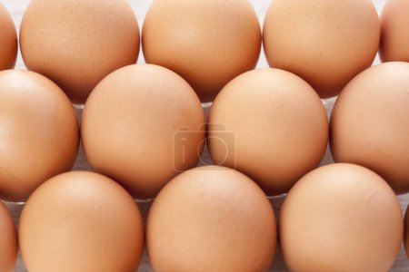 Foto de Close-up view of organic chicken eggs in a carton box. - Imagen libre de derechos