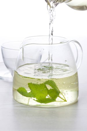 Photo for Mint tea in glass teapot view - Royalty Free Image