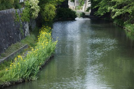 Photo for Canal with flowers in a small town - Royalty Free Image