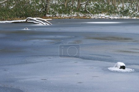 Téléchargez les photos : Floes de glace et rivière en hiver - en image libre de droit