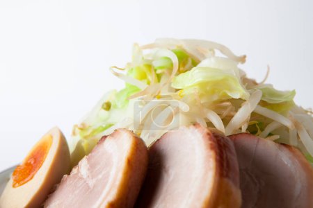 Téléchargez les photos : Cuisine japonaise. porc frit avec salade verte - en image libre de droit