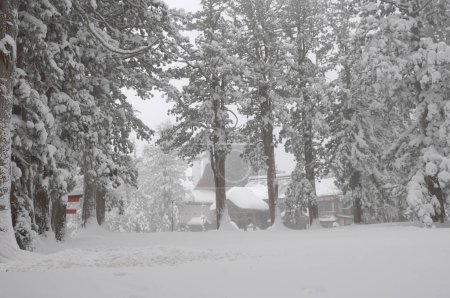 Foto de Paisaje de invierno con nieve hermosa - árboles cubiertos - Imagen libre de derechos