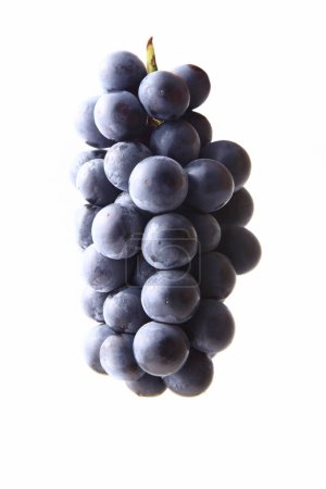 Photo for Close-up view of fresh ripe organic grapes on white background - Royalty Free Image