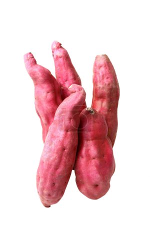 Photo for Sweet potatoes  isolated on the white background - Royalty Free Image