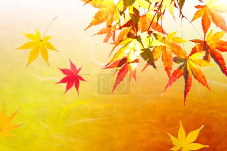 Téléchargez les photos : Belles feuilles d'érable d'automne fond lumineux - en image libre de droit