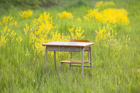 Téléchargez les photos : Bureau de l'école et chaise dans le domaine des fleurs jaunes, fond de l'éducation - en image libre de droit
