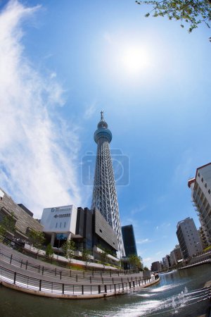 Téléchargez les photos : Tour Skytree à Tokyo, Japon - en image libre de droit