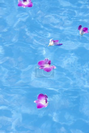Photo for Close-up view of beautiful purple flowers in the water, swimming pool and petals - Royalty Free Image