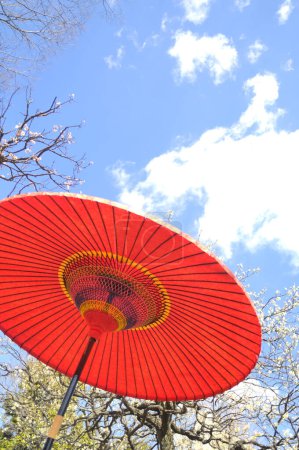 Photo for Red paper umbrella and blooming tree during the Plum Festival of Japan - Royalty Free Image