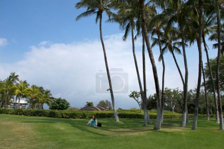 Téléchargez les photos : Vue sur une plage tropicale avec palmiers - en image libre de droit