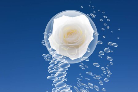 Foto de Burbujas de agua dulce y hermosa flor de rosa blanca sobre fondo azul - Imagen libre de derechos