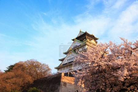 Photo for Osaka Castle in Osaka, Japan is one of Osaka's most popular hanami spots during the cherry blossom season - Royalty Free Image