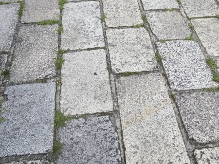Photo for Old gray cobblestones on a sidewalk - Royalty Free Image