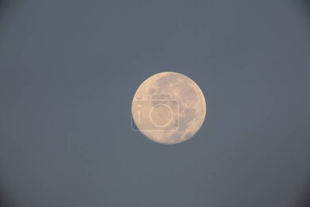 Téléchargez les photos : Pleine lune dans le ciel bleu au crépuscule - en image libre de droit