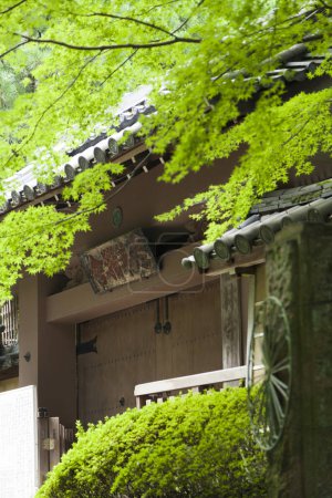 Téléchargez les photos : Jardin japonais dans la maison - en image libre de droit