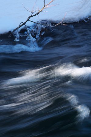 Téléchargez les photos : Rivière gelée en forêt hivernale - en image libre de droit