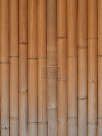 Téléchargez les photos : Texture en bambou pour fond - en image libre de droit