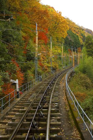Téléchargez les photos : Paysage d'automne avec voies ferrées - en image libre de droit
