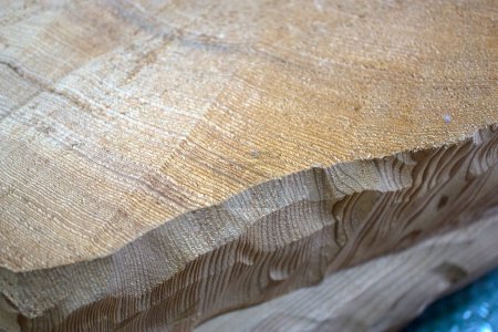 Foto de Textura de madera. árbol podado - Imagen libre de derechos
