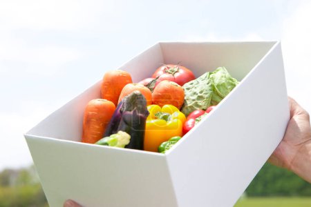 Photo for Farmer holding box full of fresh organic vegetables - Royalty Free Image