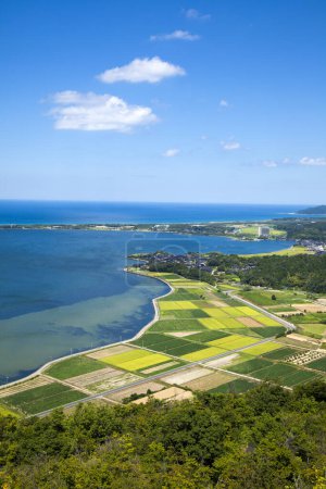 Téléchargez les photos : Belle vue aérienne sur les rizières et la mer azur par une journée ensoleillée - en image libre de droit