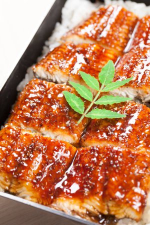 Photo for Marinated eel fish with sauce and boiled rice - Royalty Free Image