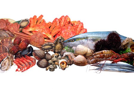 exotic sea food plater with variety of different fresh sea food products  