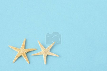 Photo for Sea stars on a blue background, marine concept - Royalty Free Image