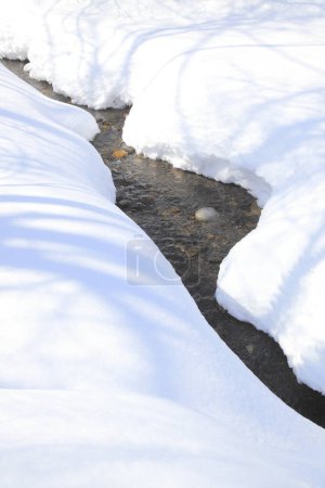 Téléchargez les photos : Rivière couverte de neige dans la forêt d'hiver - en image libre de droit