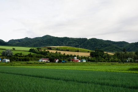 Téléchargez les photos : Beau paysage avec un champ vert dans le village - en image libre de droit
