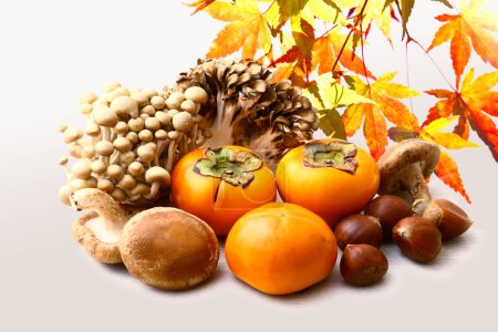 Photo for Autumn composition of fresh persimmons, nuts, mushrooms and bright maple leaves - Royalty Free Image