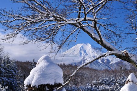 Téléchargez les photos : Montagne Fuji dans la neige, Japon - en image libre de droit