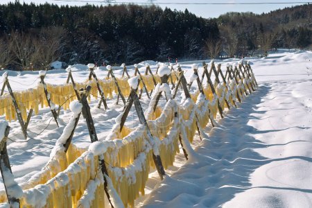 Téléchargez les photos : Scène hivernale avec champ enneigé et radis Daikon accrochés pour sécher - en image libre de droit