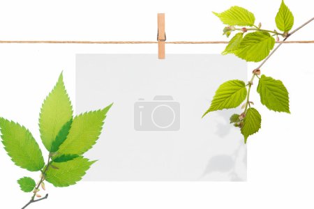 Foto de Hoja en blanco de papel colgando de la cuerda de la ropa, fondo de verano con hojas - Imagen libre de derechos