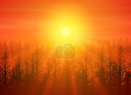 Foto de Siluetas de árboles en el bosque y hermoso cielo en la mañana - Imagen libre de derechos