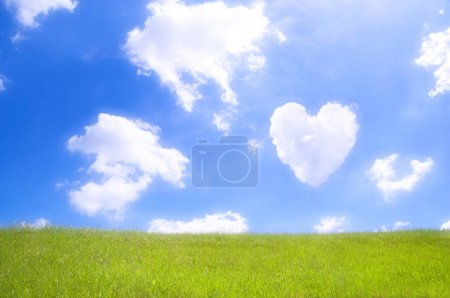 Photo for Heart shaped clouds on blue sky over green field - Royalty Free Image