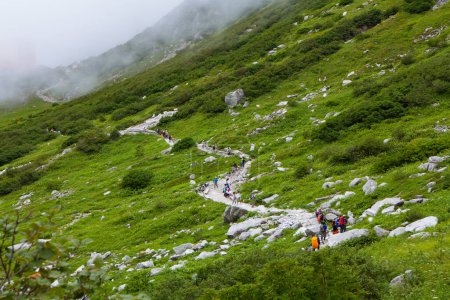 Foto de Turistas senderismo en verdes montañas rocosas - Imagen libre de derechos