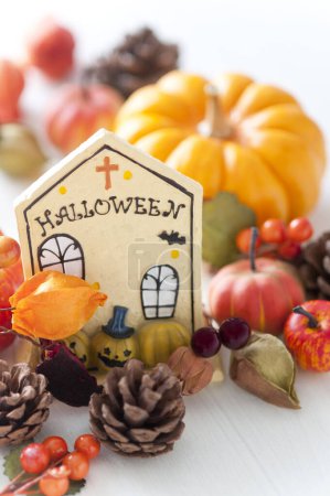 Téléchargez les photos : Vue rapprochée des citrouilles d'Halloween et des décorations festives sur fond blanc - en image libre de droit