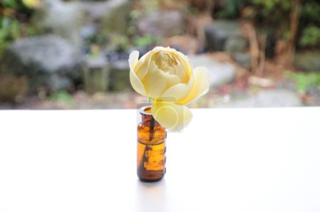 Téléchargez les photos : Rose jaune en bouteille - en image libre de droit