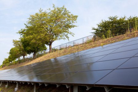 Foto de Paneles de energía solar sobre césped verde - Imagen libre de derechos
